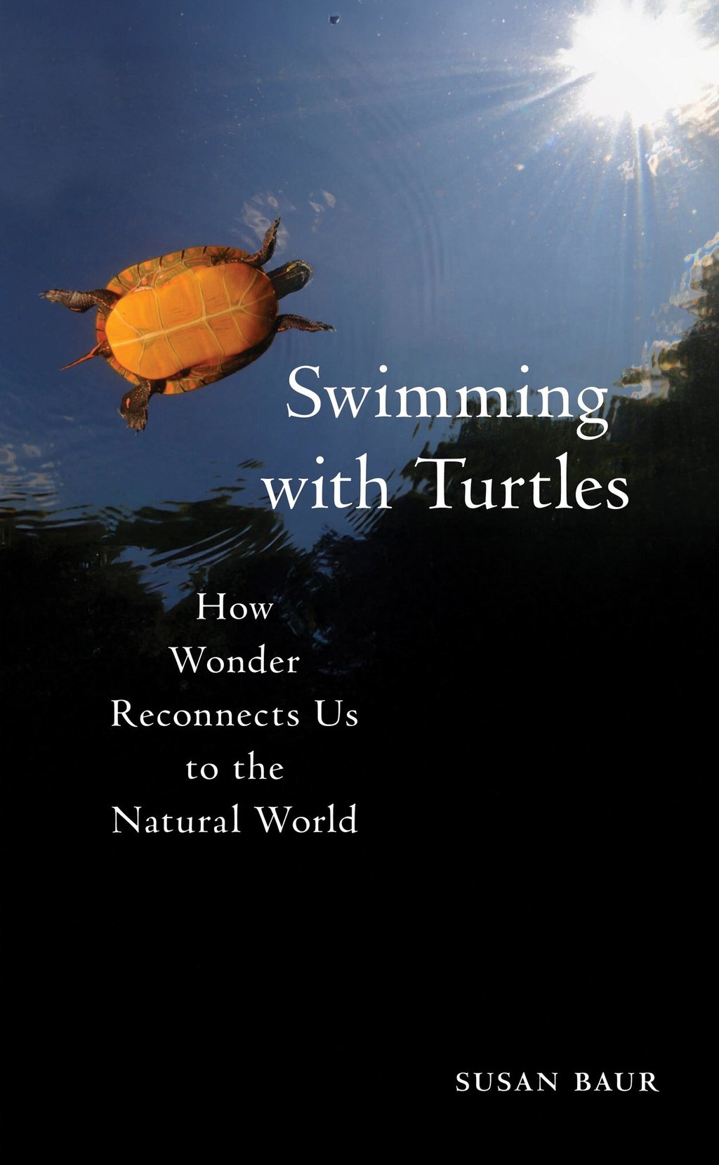Cover image for Swimming with Turtles: How Wonder Reconnects Us to the Natural World by Susan Baur. 