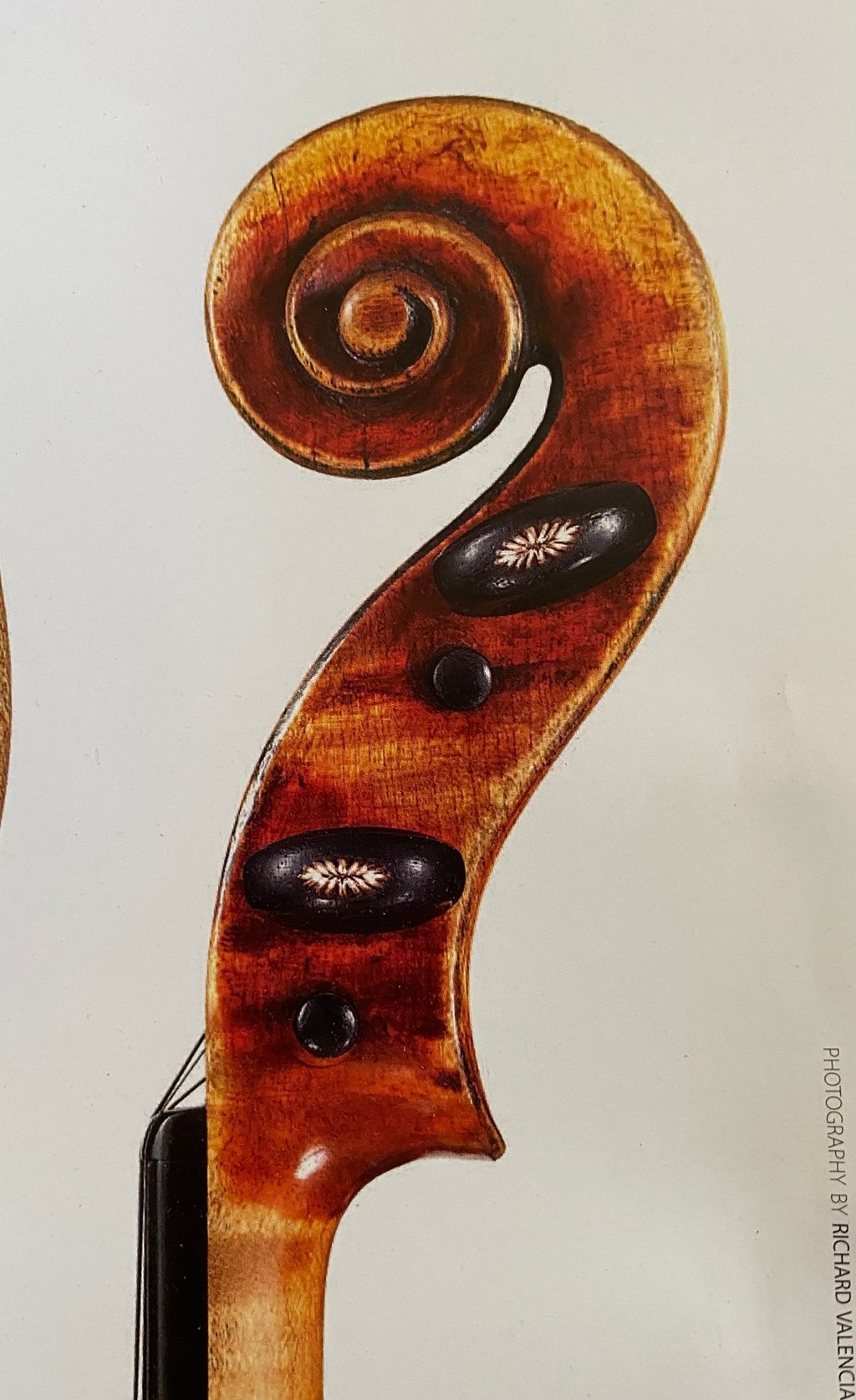 Lupot violin scroll with varnish detail. Compare to next pic.