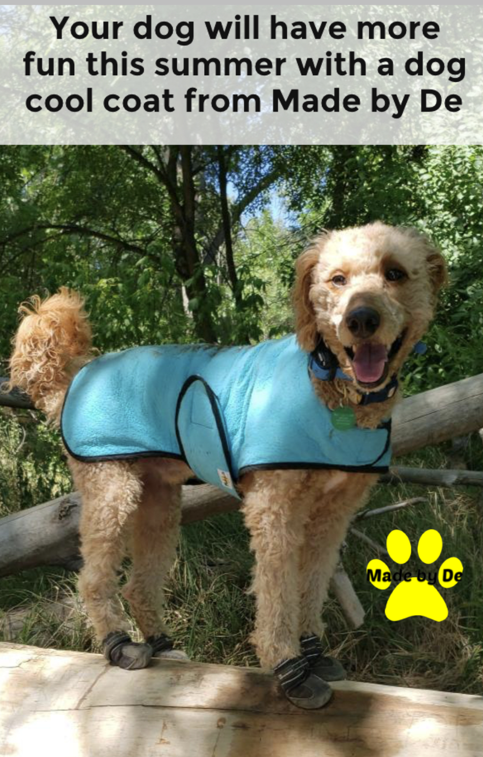 A golden doodle wearing a blue dog cool coat and booties while standing on a log outdoors.