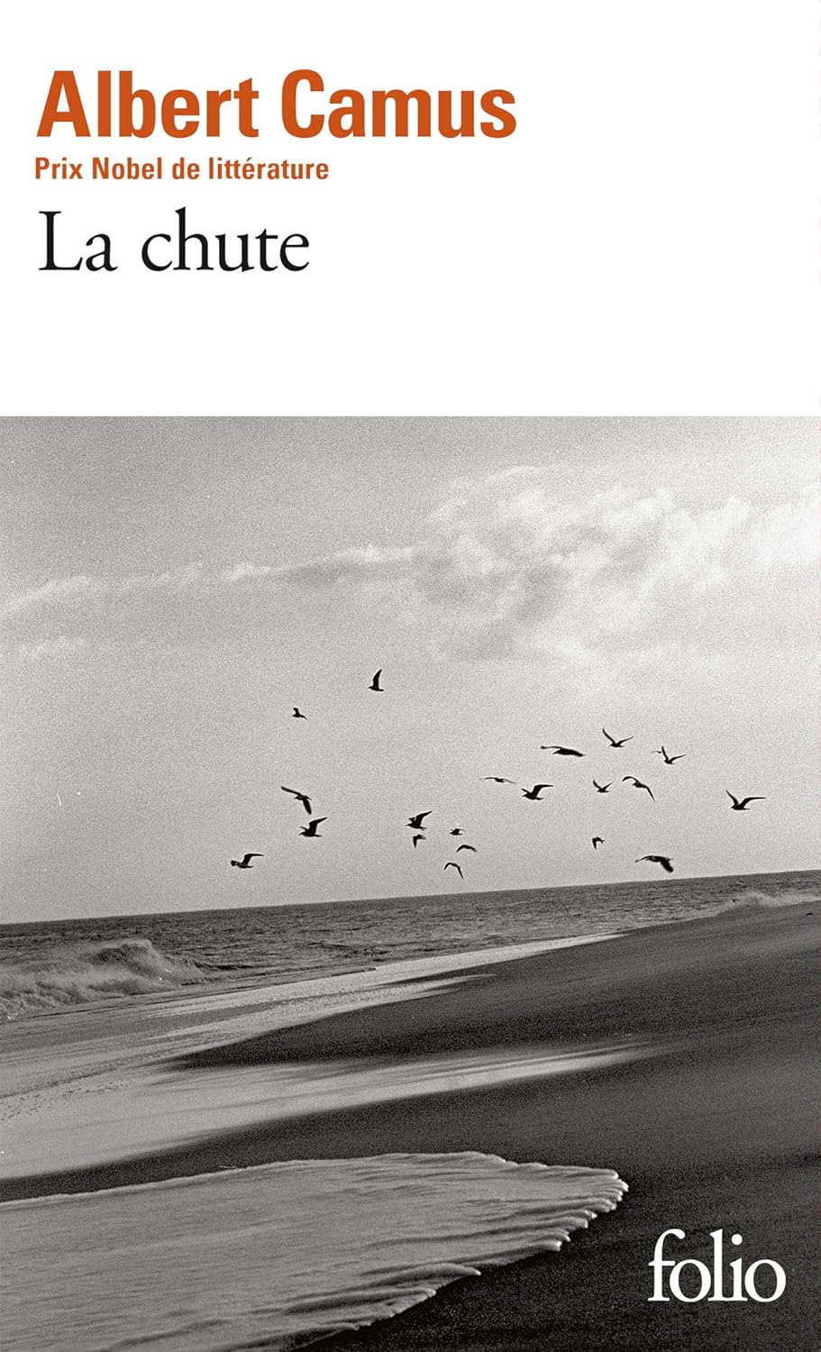 Première de couverture du roman La chute