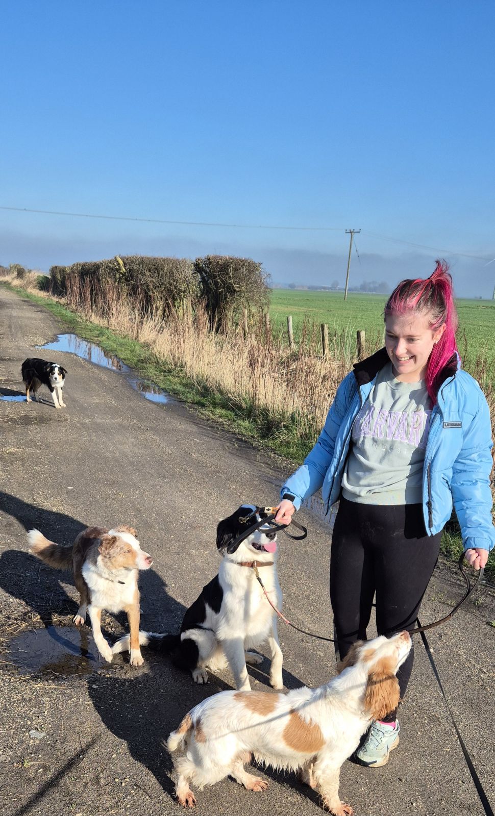 dog walker Doncaster