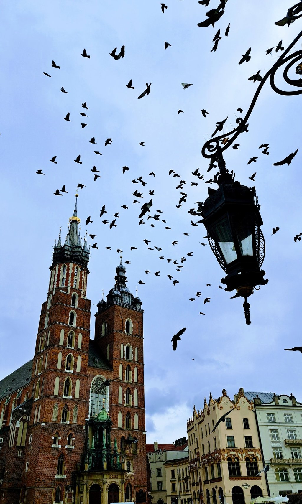 spraw aby obraz był bardziej słoneczny