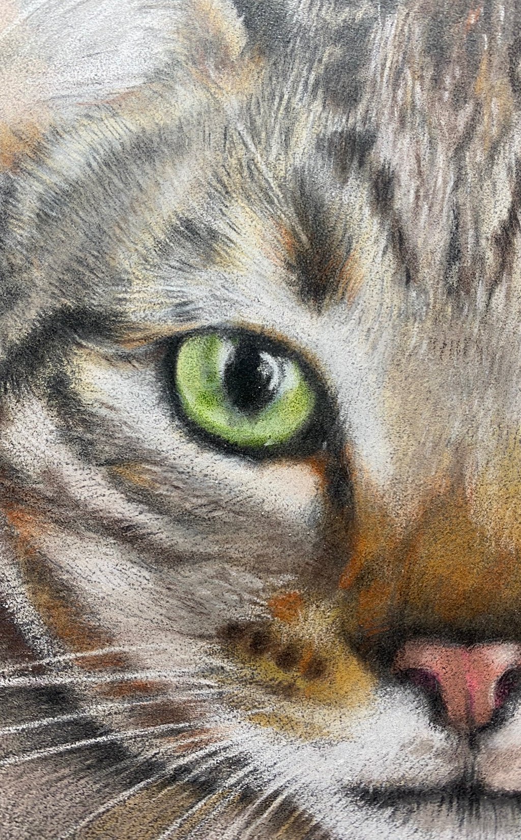 tabby cat, crop, close up, green eye, pet portrait