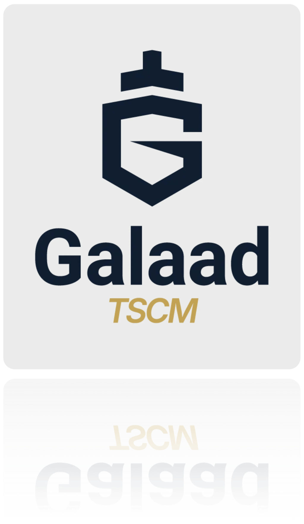 © Galaad TSCM
