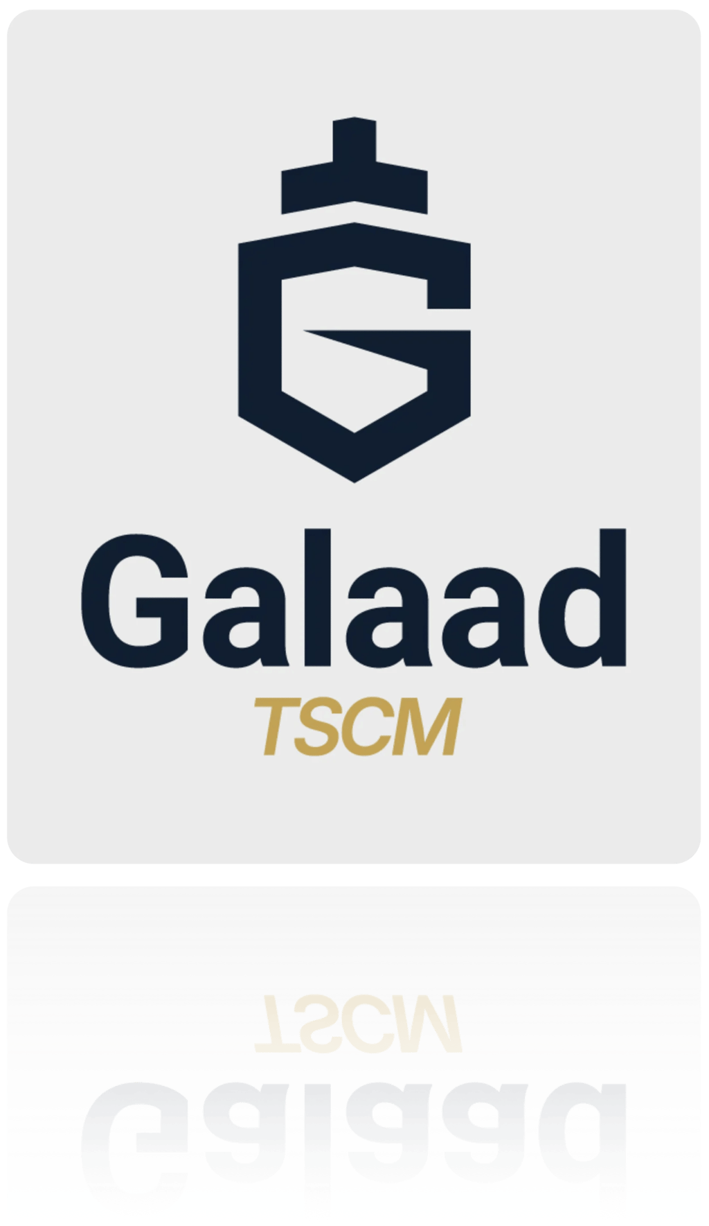 © Galaad TSCM