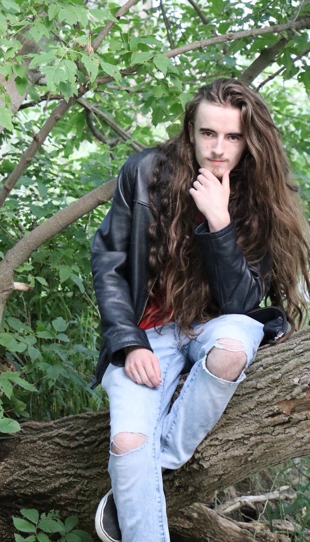 Camus sitting in a tree looking wise and contemplative