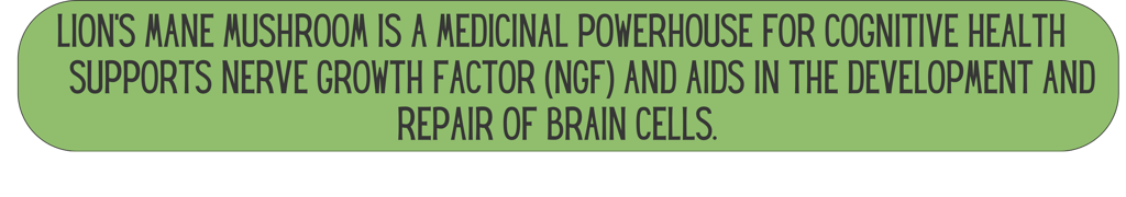 Mane Brain™ offers premium mushroom-based wellness products designed to support focus, memory,.