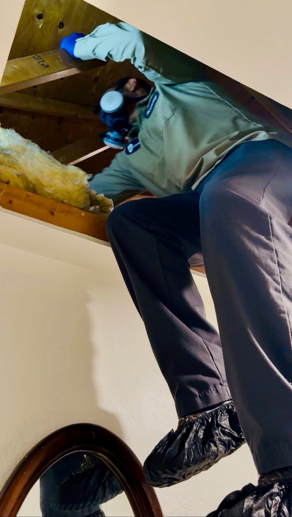 Attic Inspection for Rats in Menifee CA Footprint Pest Management