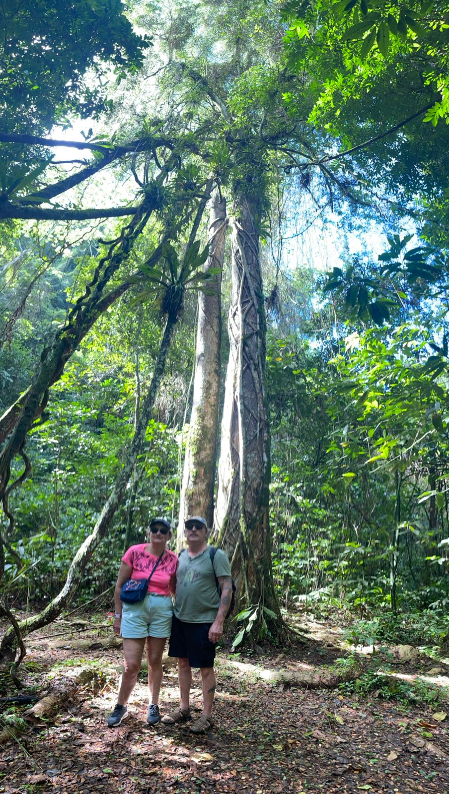 A couple standing beneath a towering tropical tree in a lush green rainforest jungle landscape.