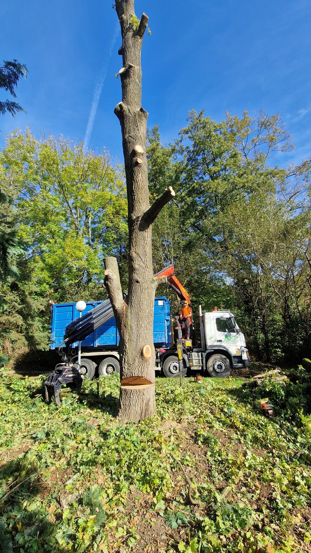 camion d'élagage en plein action de ramassage de branches