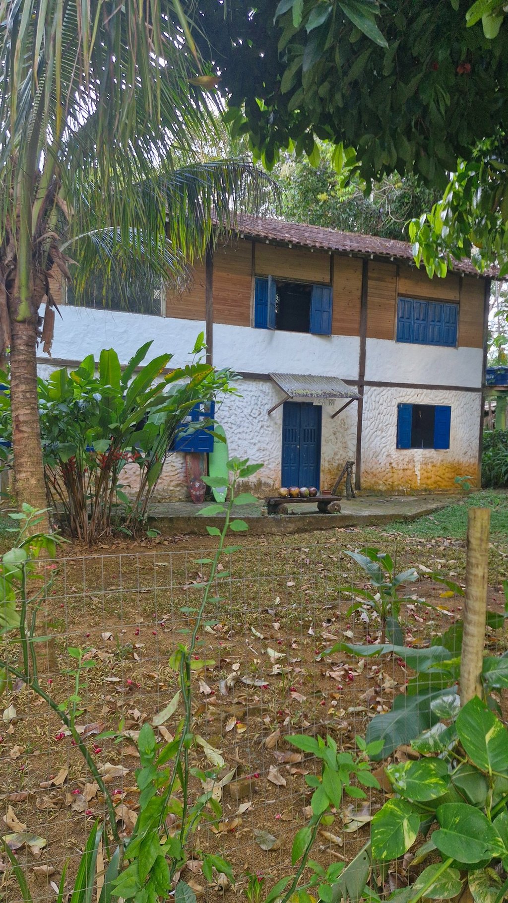 Casa Cura Itacaré Bahia - Terapias, Rituais e medicinas da floresta -Ayahuasca, Rapé, Cacau Medicina