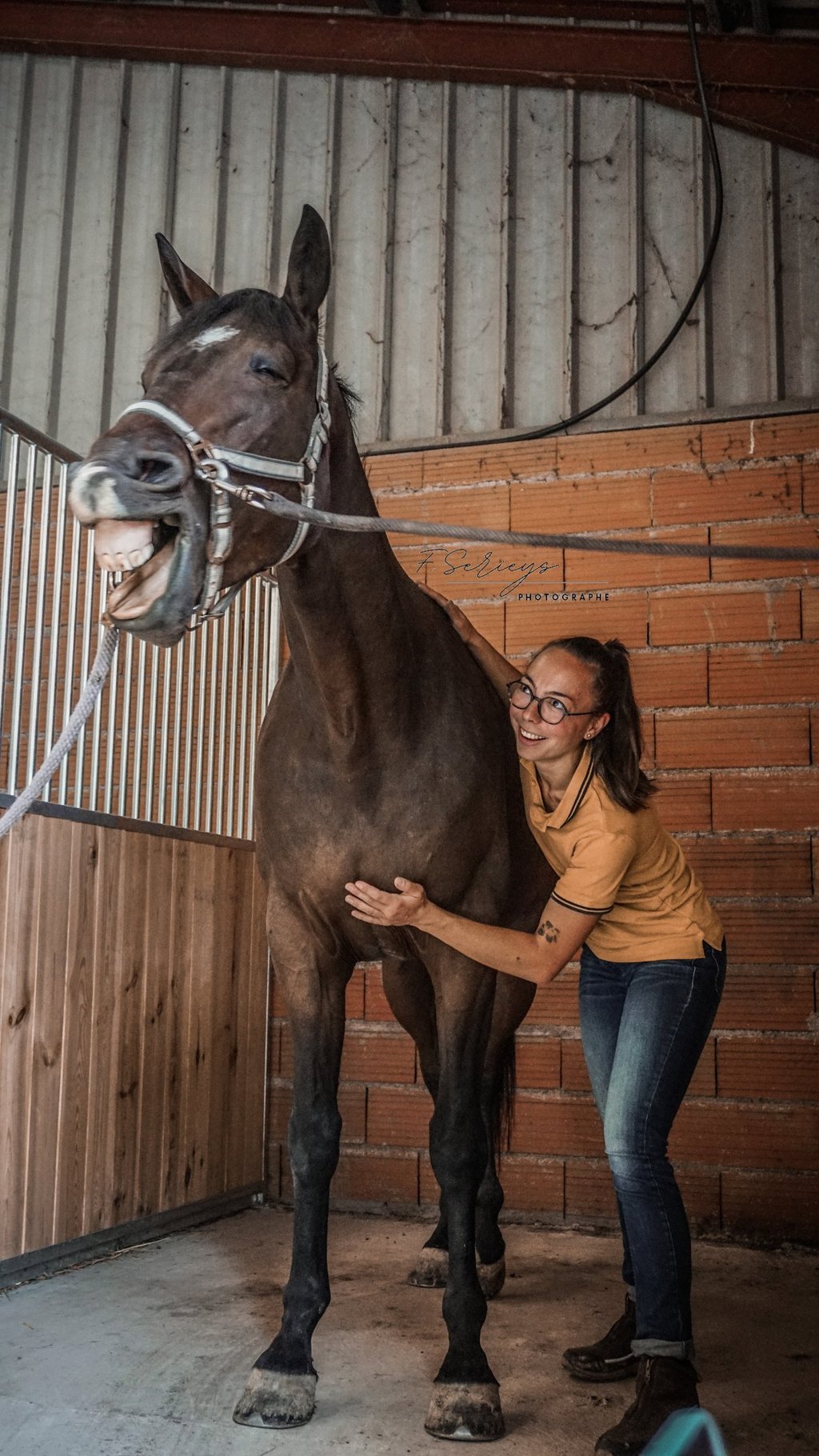 massage cheval bien-être