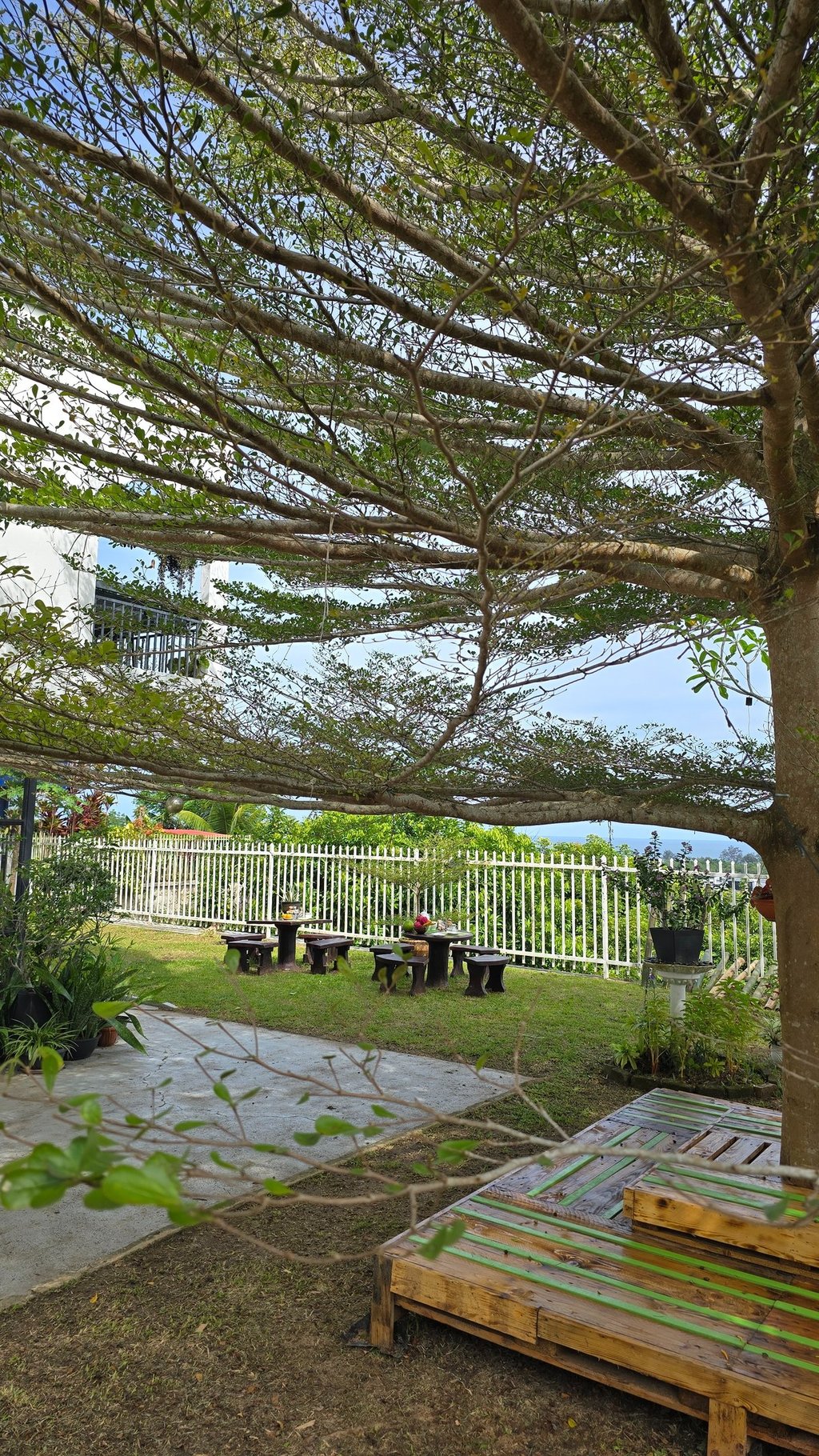 Outdoor garden seating area under a shady tree with wooden picnic tables and a white fence.