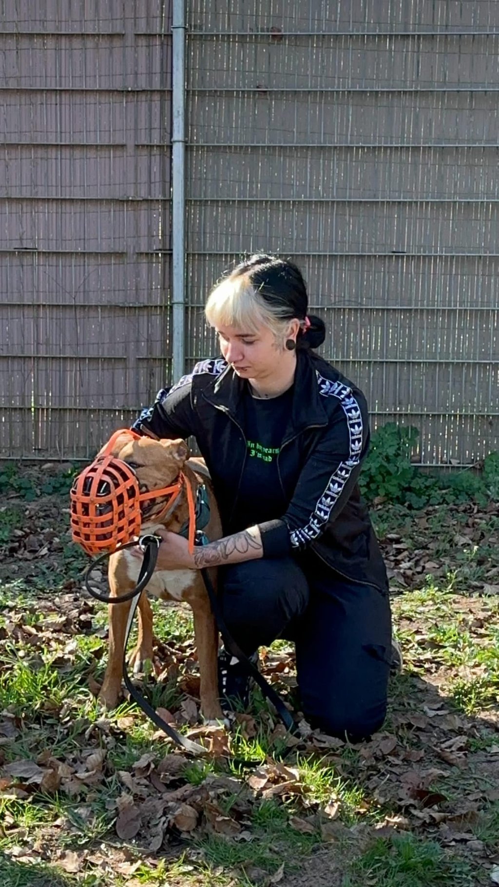 Mel mit abgesichterm Hund der einen Maulkorb trägt
