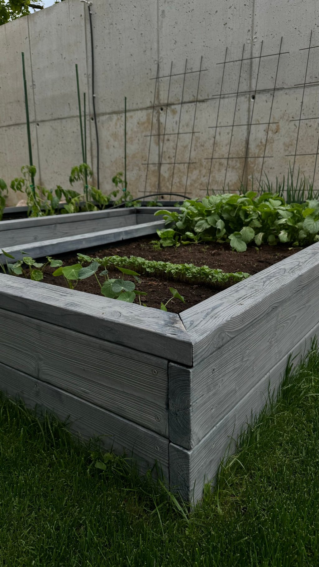 Ūkvedžio paslauga, ūkvedys, aplinkos priežiūra, gerbūvio įrengimas, terasos įrengimas, laistymas