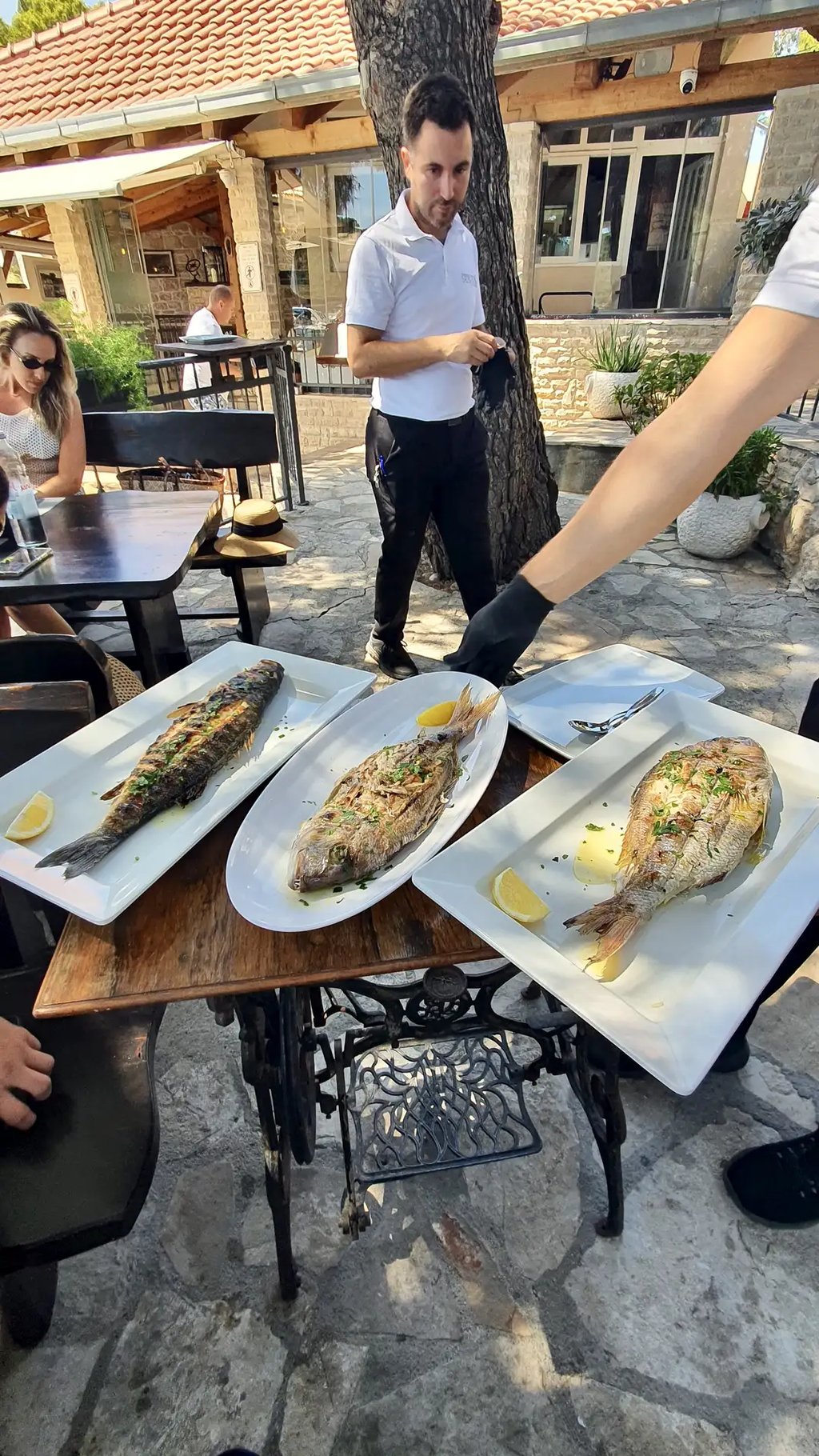 Wild Adriatic 1st class fish: sea bream, sea bass and toothfish freshly served at seaside restaurant in Sesula Solta.