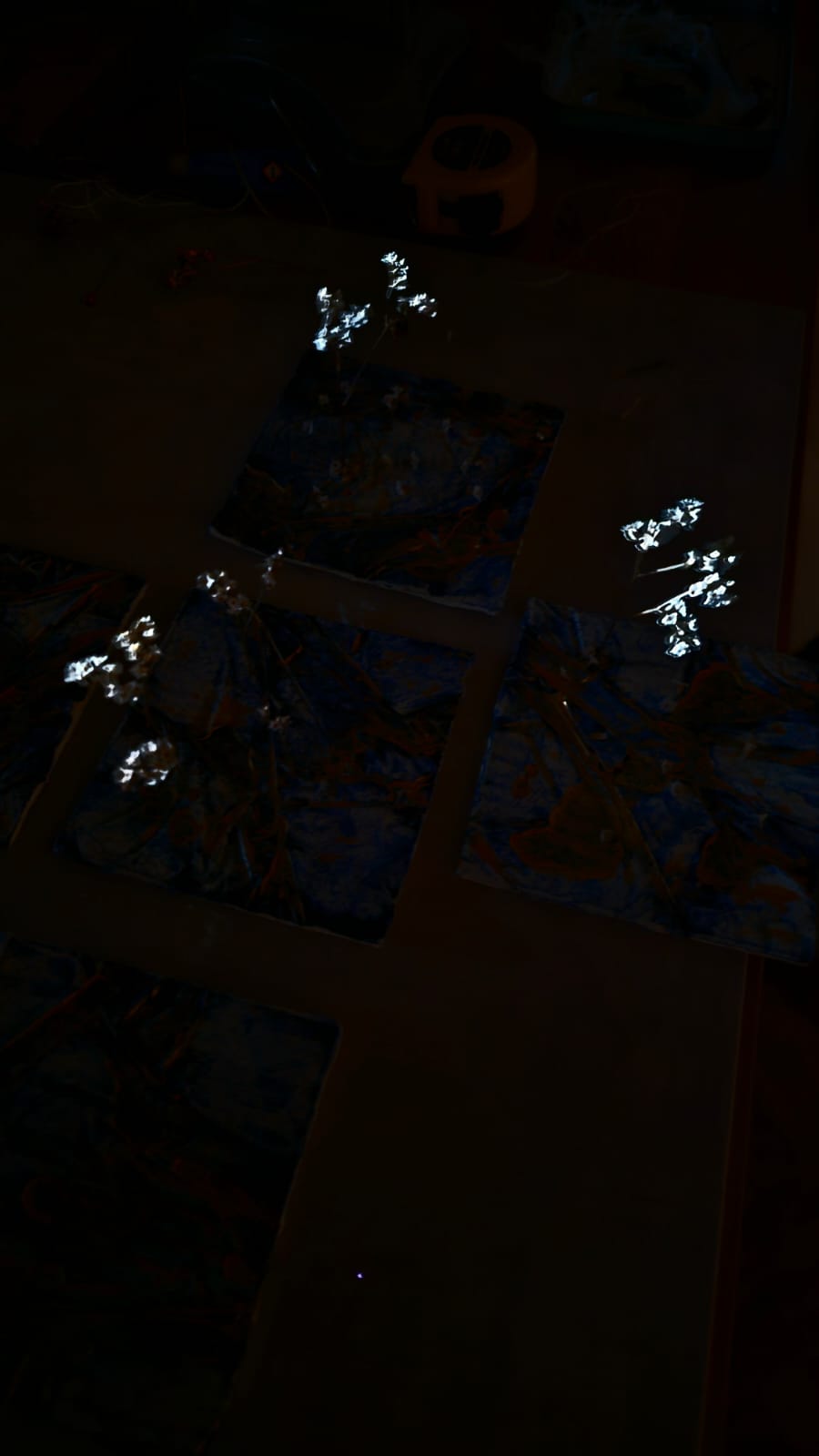 First sun in the studio photographed by Nikoru