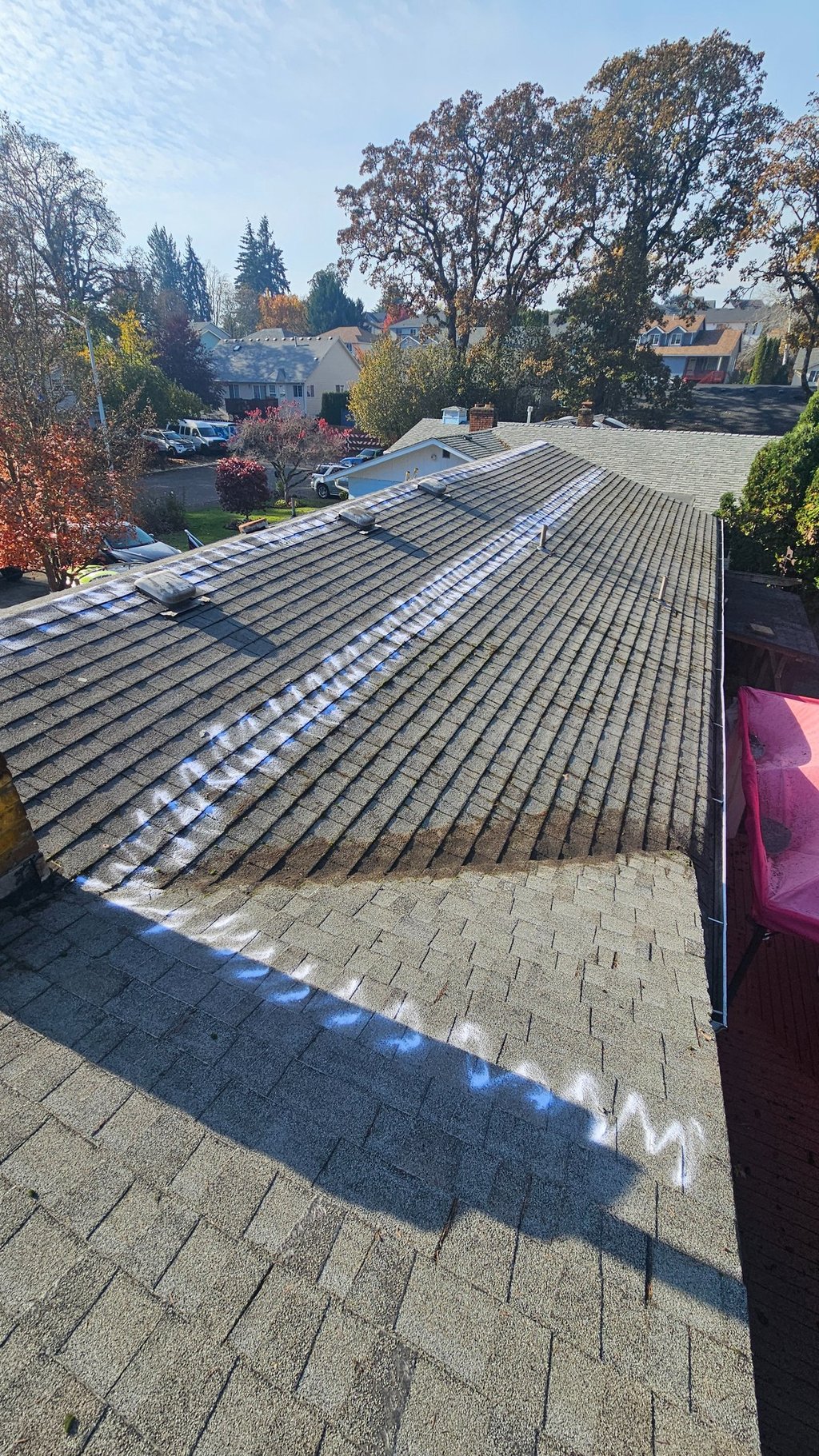 a clean roof after a soft wash