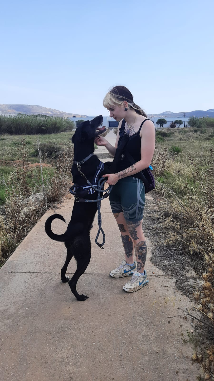 Mel mit schwarzem Hund