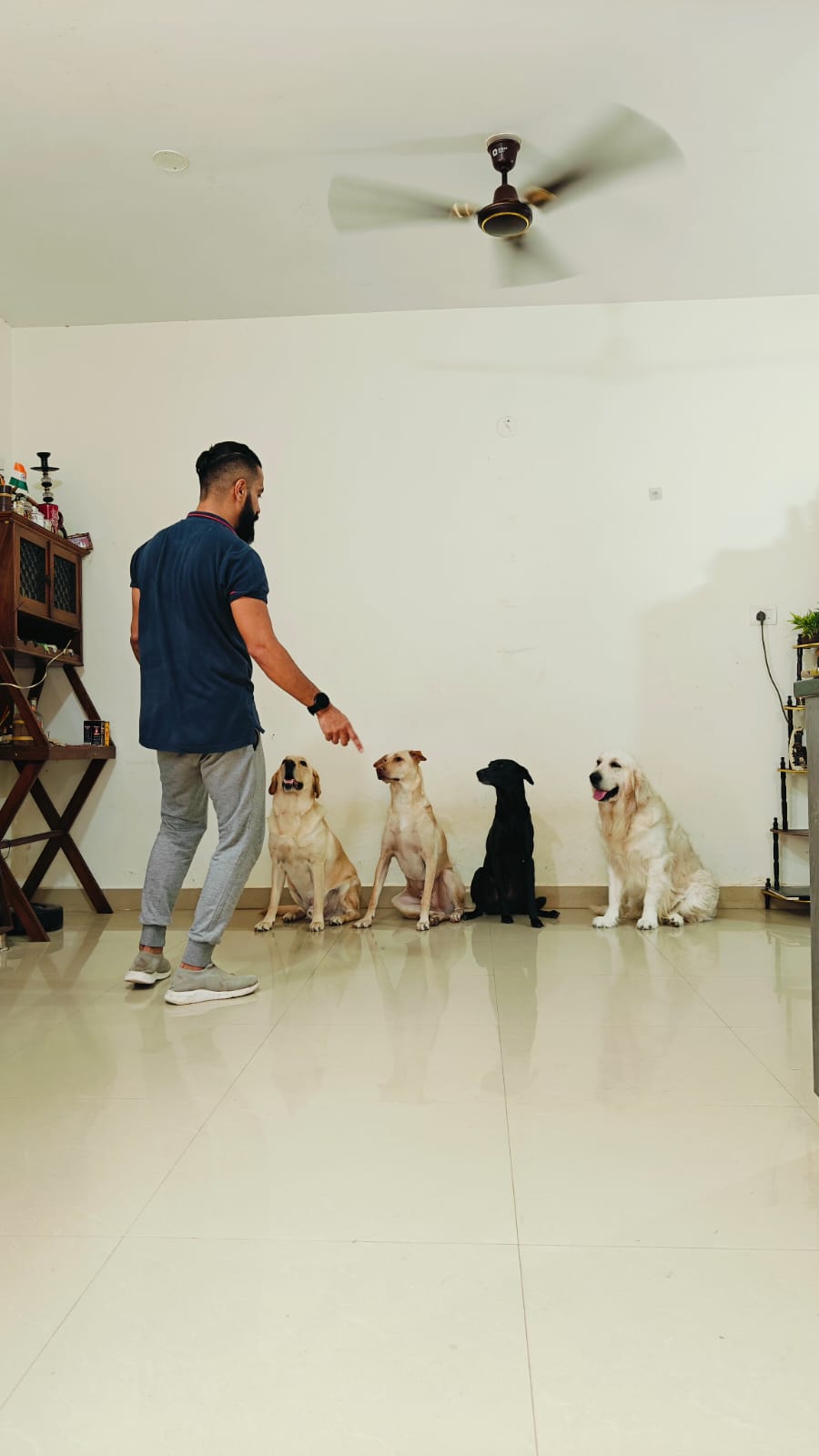 Happy family moment with all four Pawdashians dogs enjoying playtime