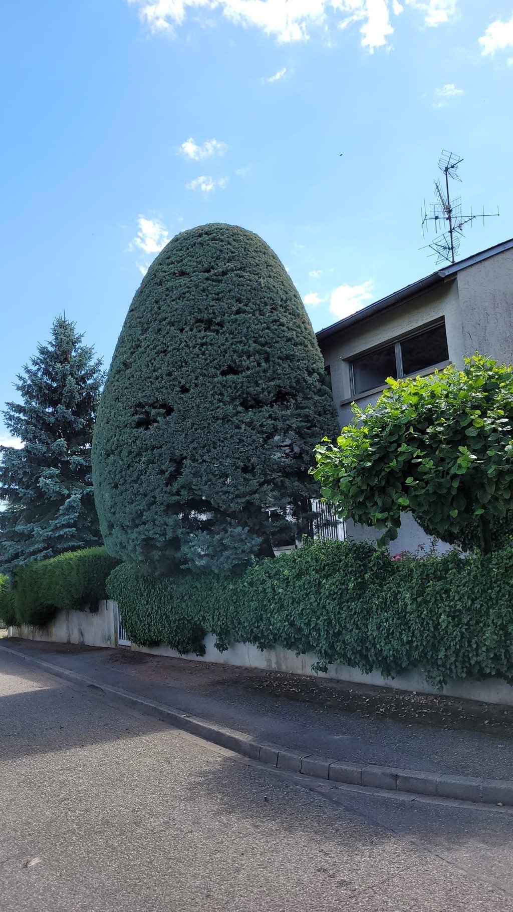 Entretient extérieur, embellissement de vos jardins. 