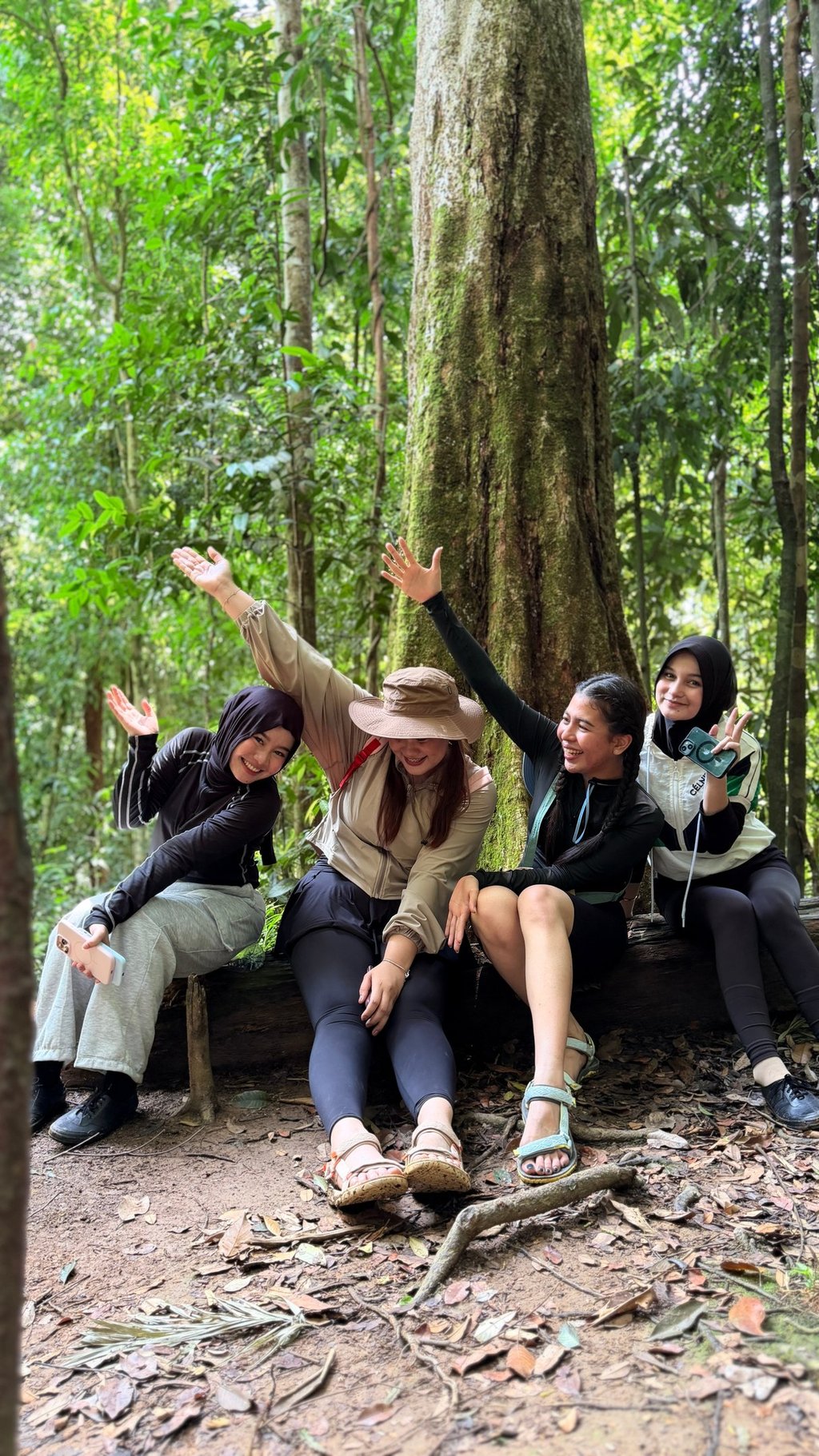 Bukit Lawang Trekking