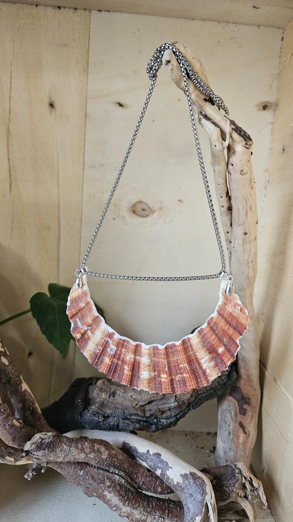 Collier en coquille St Jacques