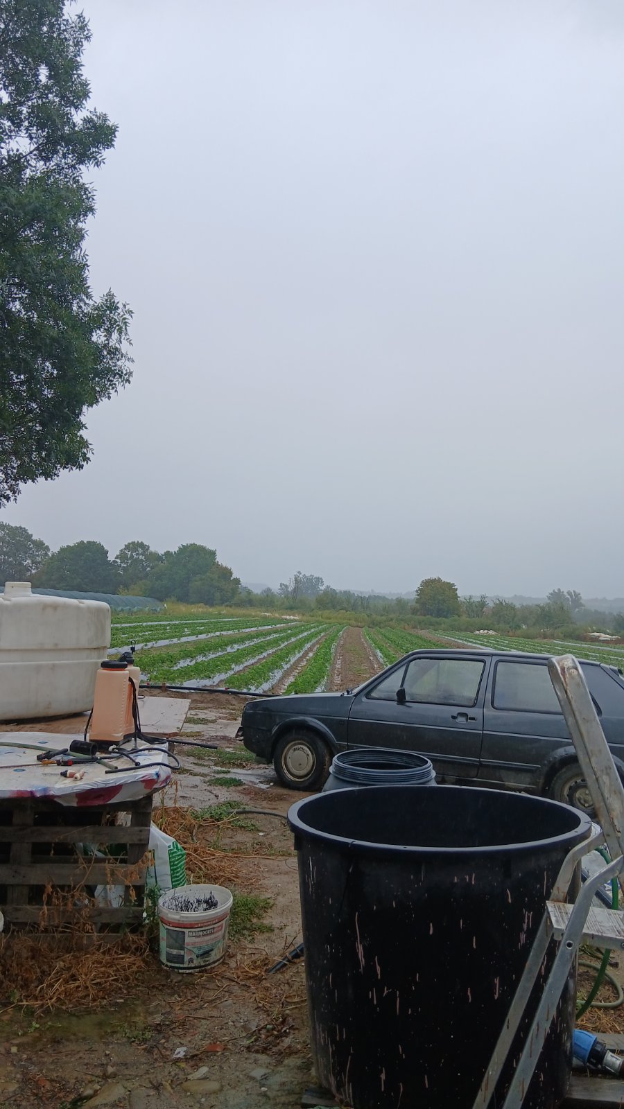 Crni automobil parkiran pored poljoprivrednih vrtova i opreme za navodnjavanje na maglovitoj farmi