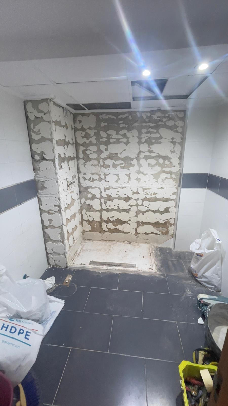 Reforma de bano antes