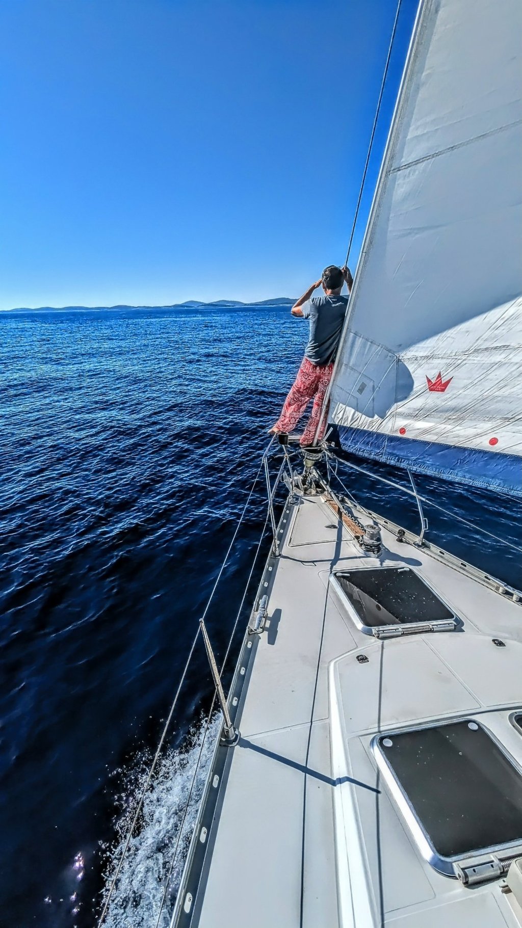 Alla ricerca di belle fuste