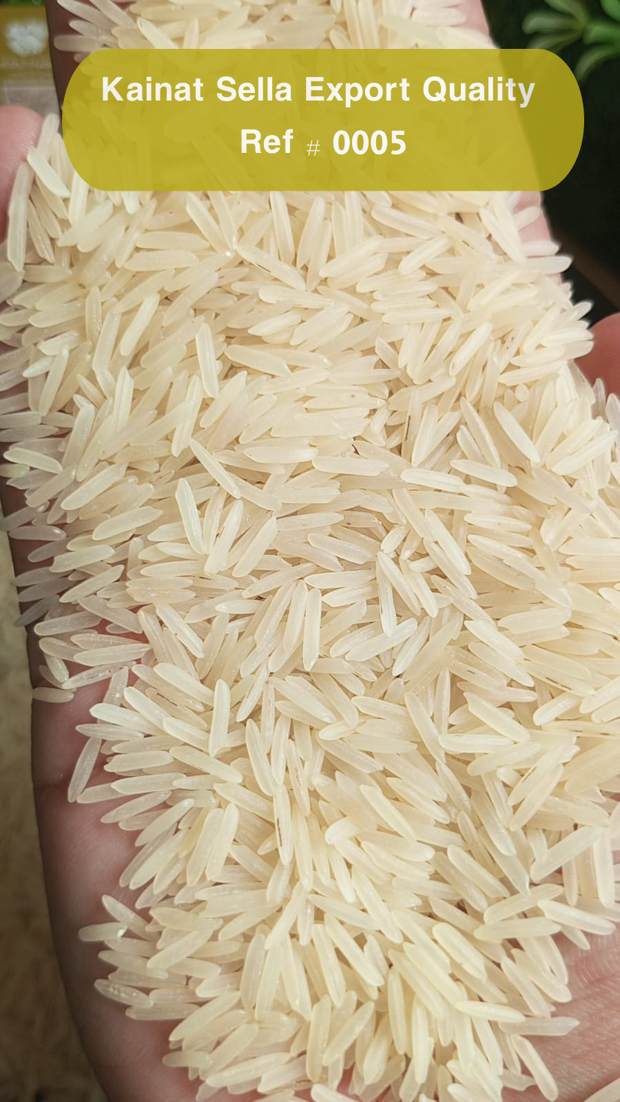 1121 Steam Rice Exporter in Pakistan