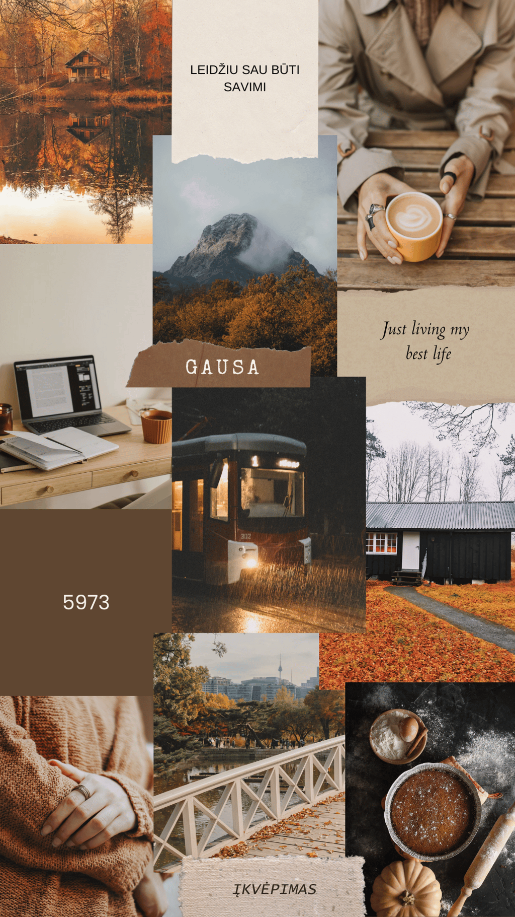 svajonių manifestacijos koliažas