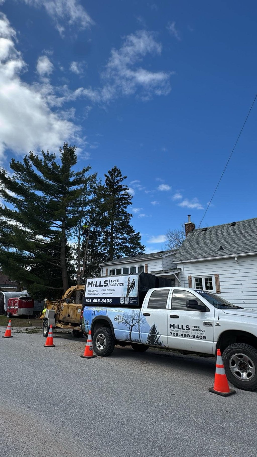 tree removal services from mills tree service in north bay