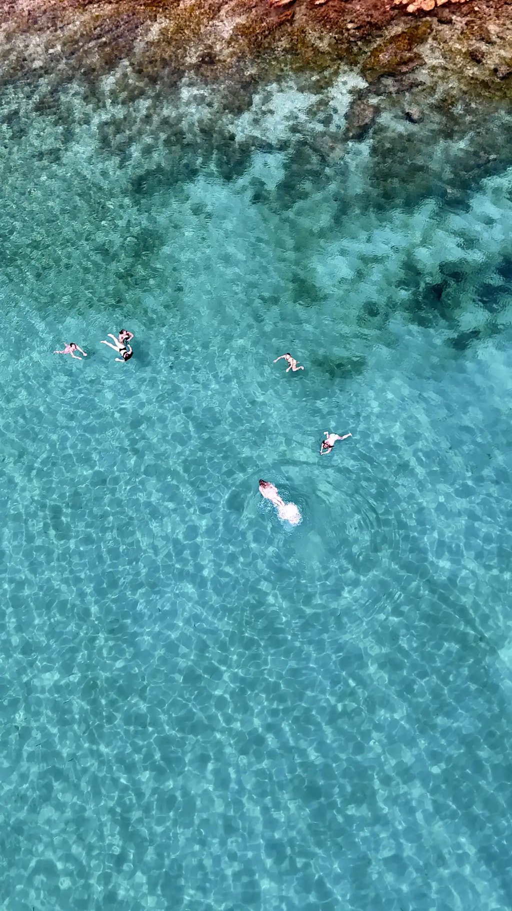 Aerial view of girls swimming and snorkeling in a bay near Milna on Brac during a private boat tour from Split, Croatia
