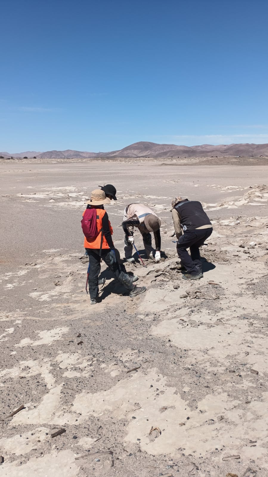 Ciencia aplicada al territorio
