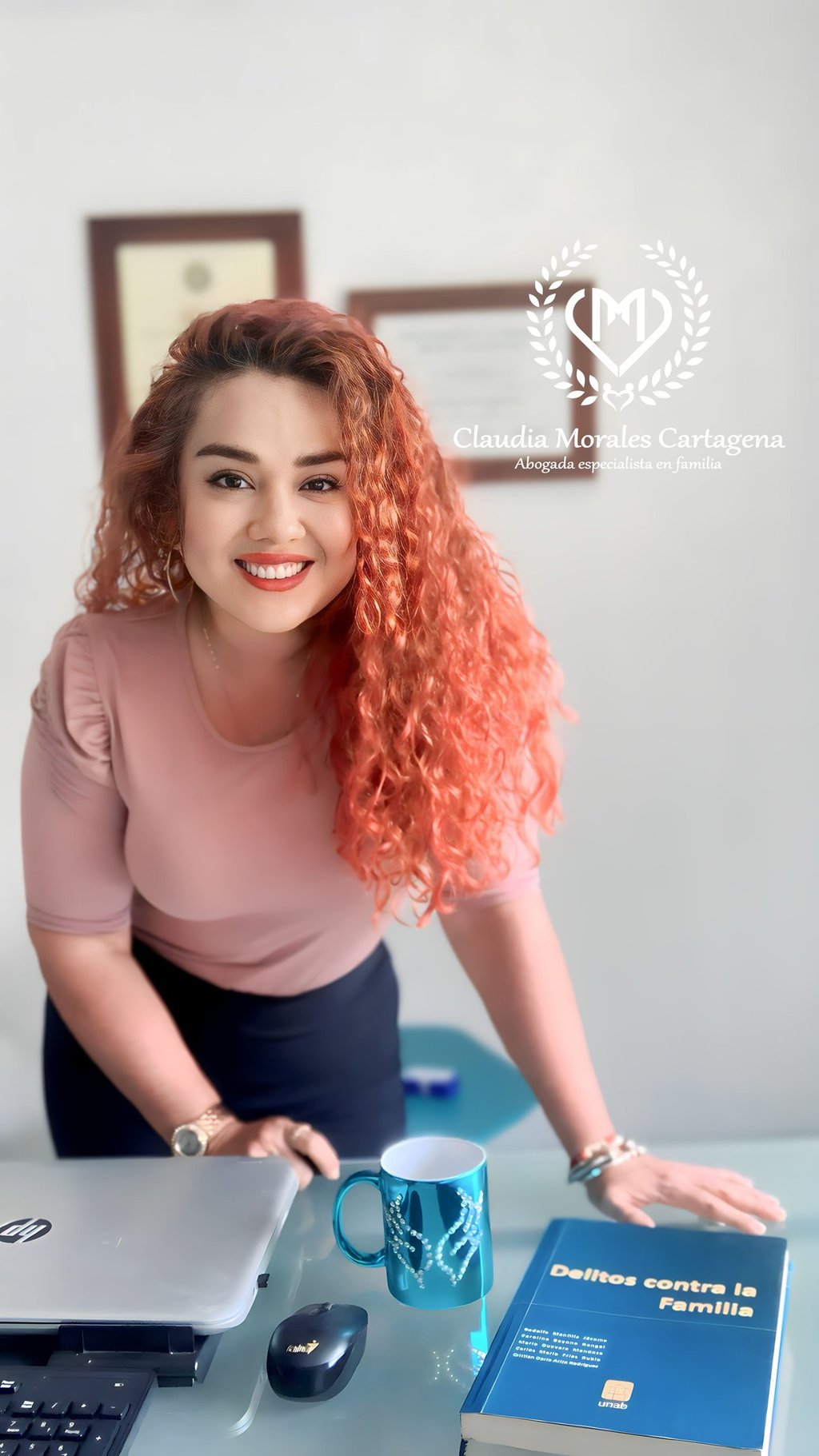 abogados inasistencia alimentaria