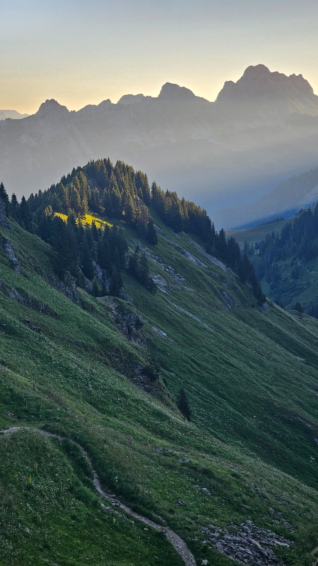 a horse is standing on a grassy hill