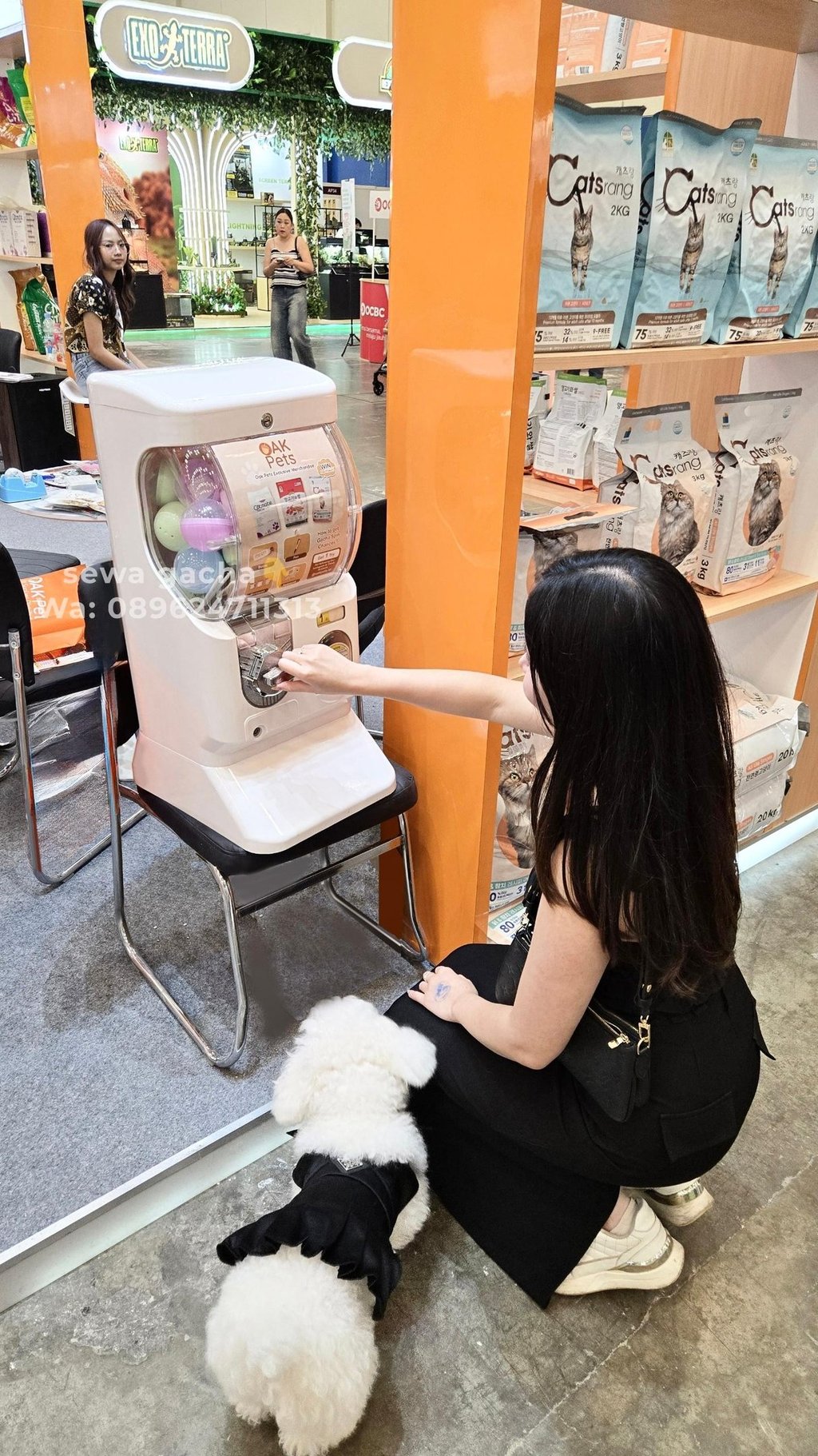 rental gacha jabodetabek