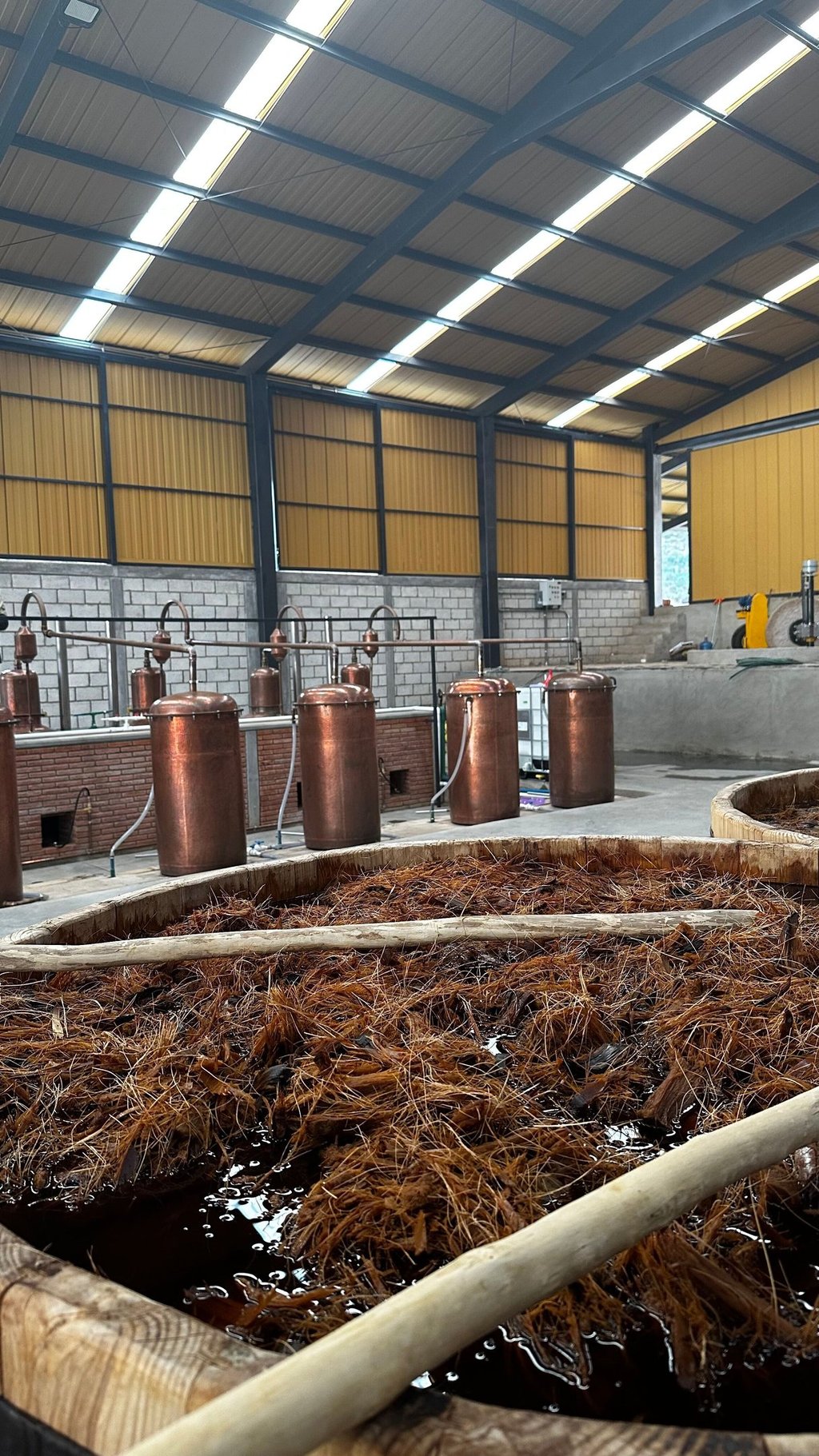 fábrica de mezcal