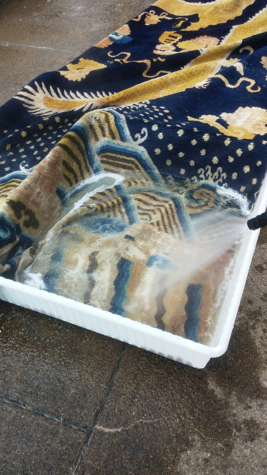 lavaggio speciale di un tappeto in ammollo per la estrazione urina