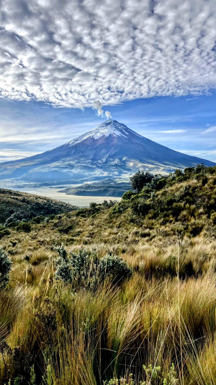 Cotopaxi seen from Rumiñahui