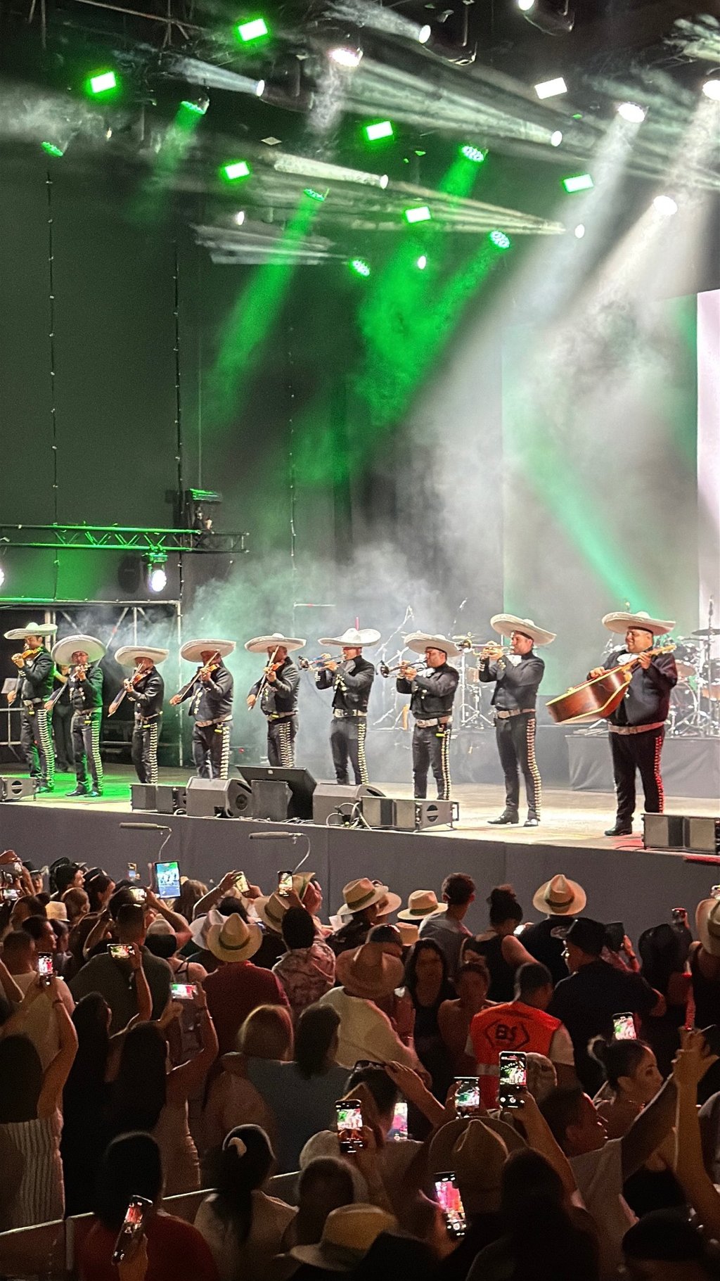 Mariachi en fiesta privada en Madrid