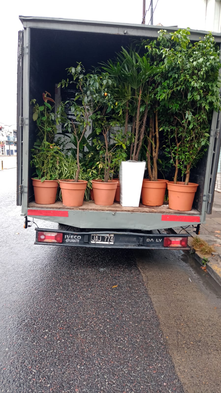 mudanzas mini fletes