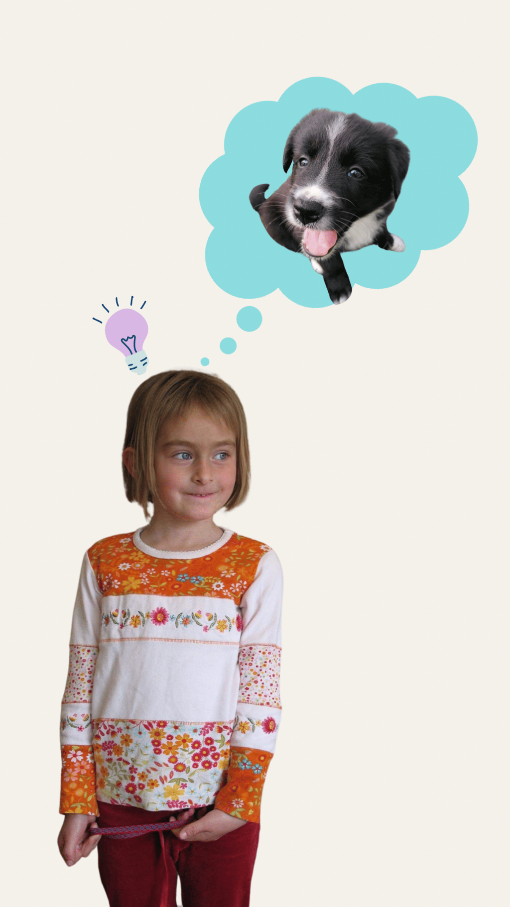 histoire du salon toutouka et lilipad