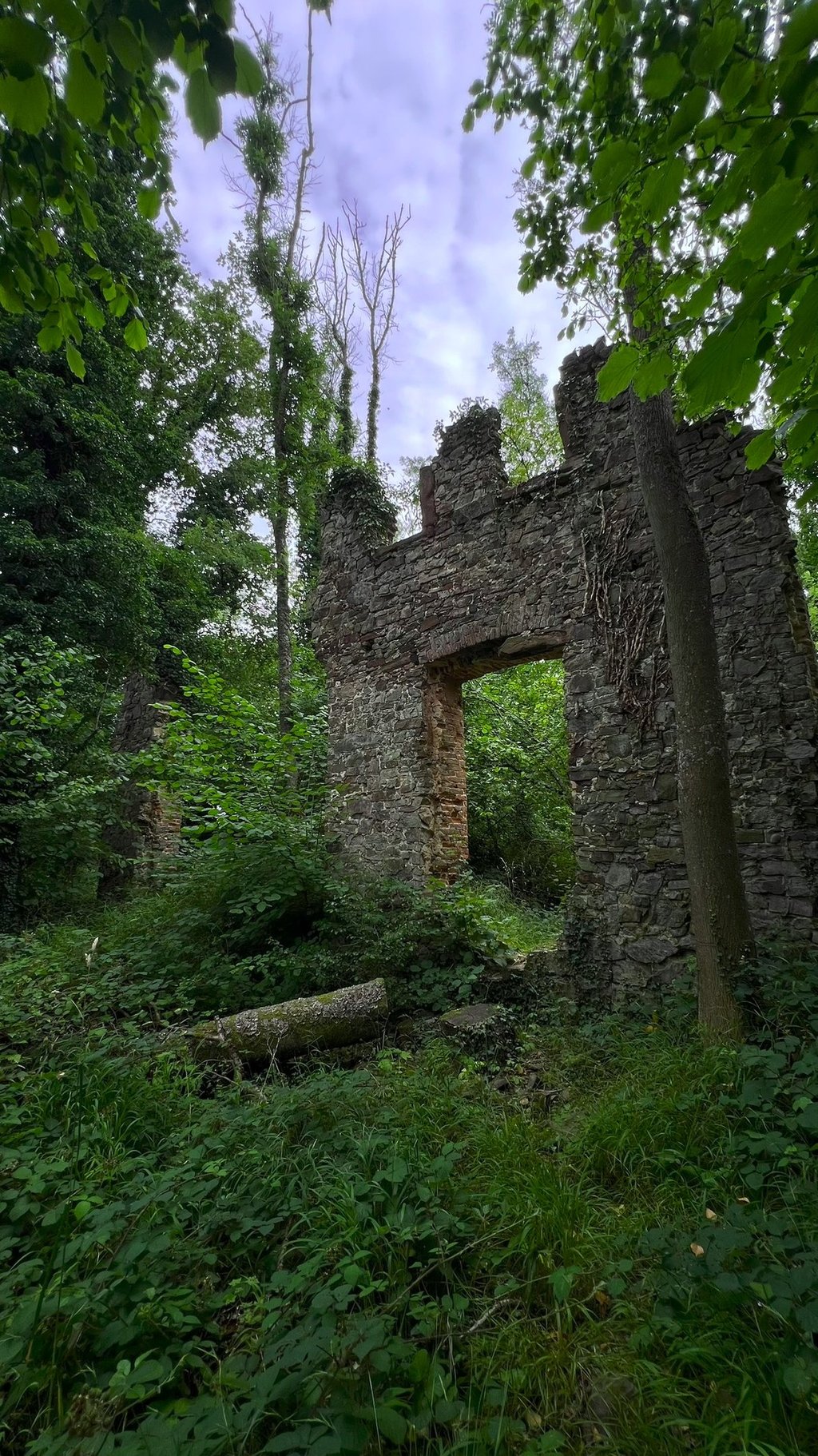Oude doorgang van de kloosterruïne, half begroeid, omringd door stilte en natuur.