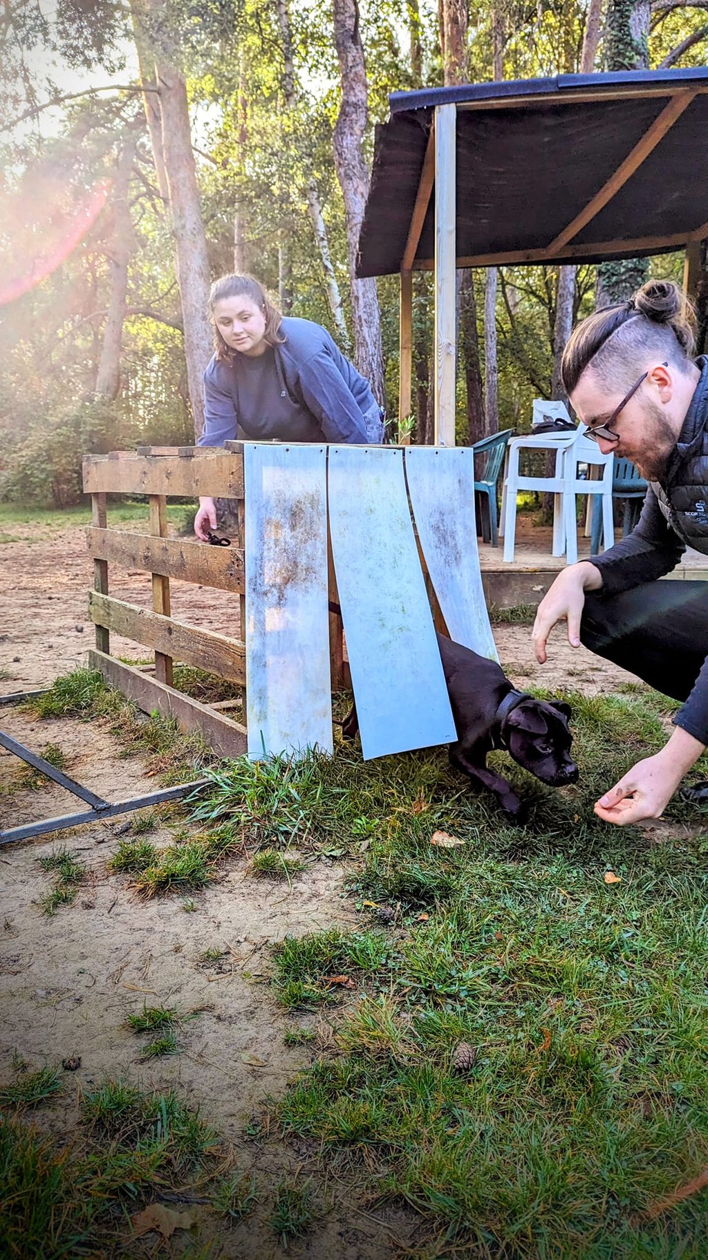 Deux personnes et un chien lors d'une seance d'éducation canine