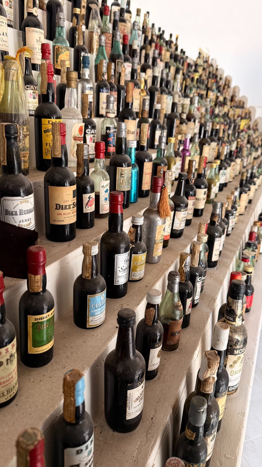Colección de botellas antiguas de vino de Jerez en una bodega tradicional