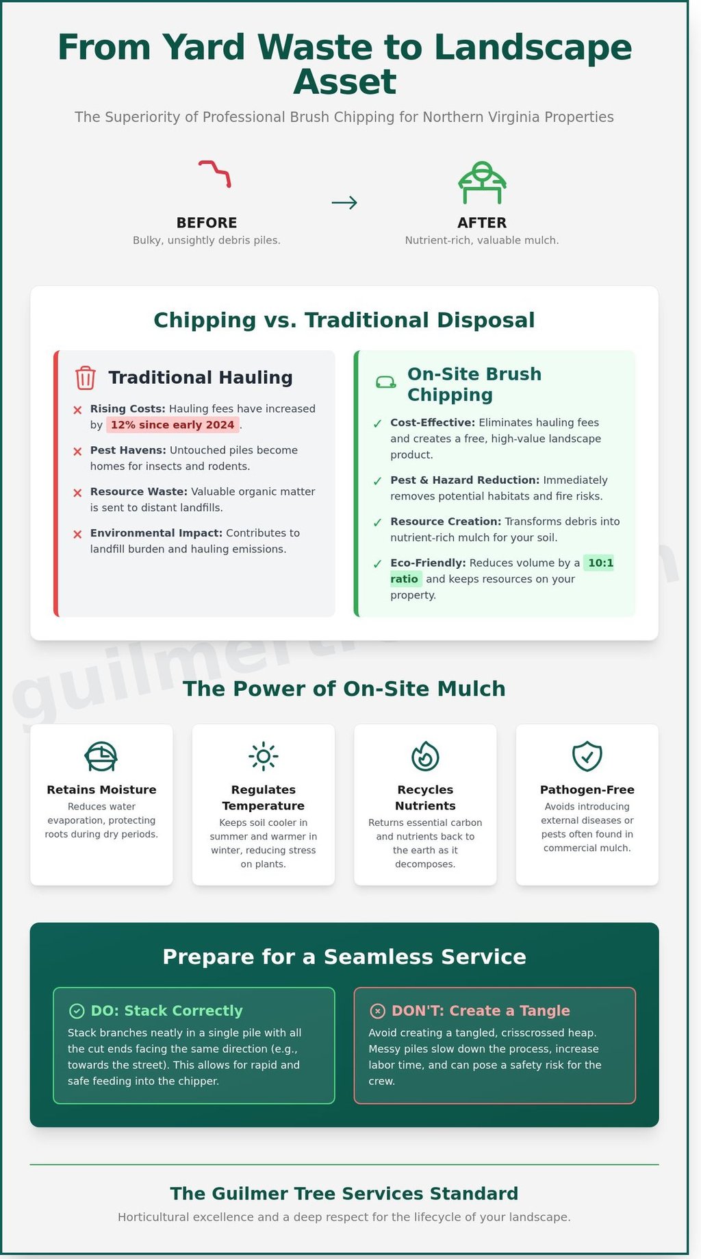 Infographic explaining brush chipping for Falls Church homeowners as a local 2026 guide by Guilmer Tree Services.