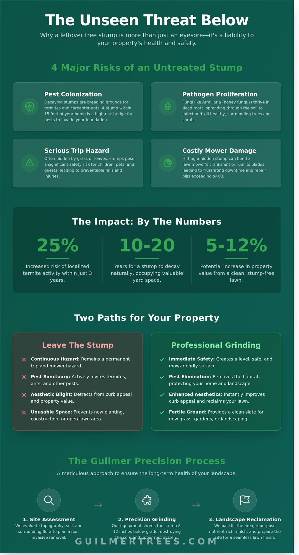 Infographic on professional stump grinding in Falls Church, VA showing how to reclaim your landscape safely.