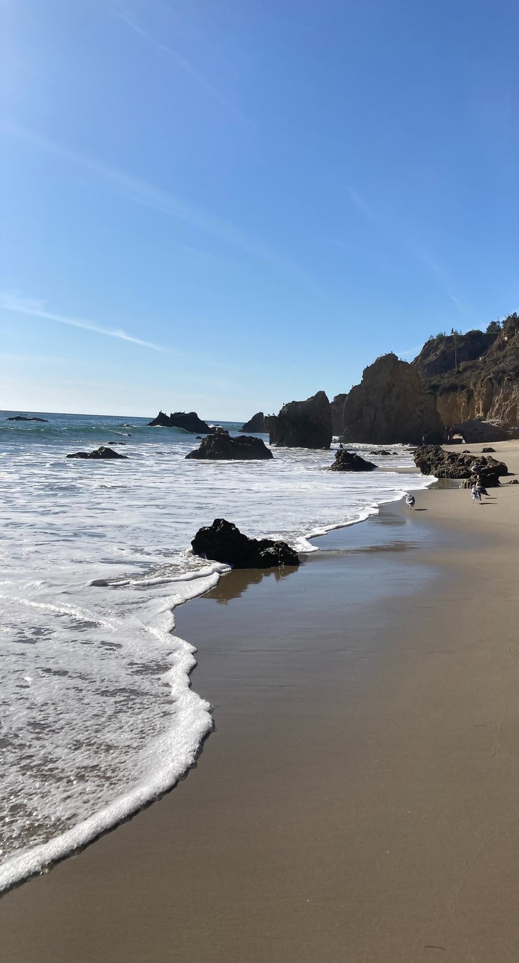 positiv'in coaching de vie psychologie positive objectif changement bonheur résilience